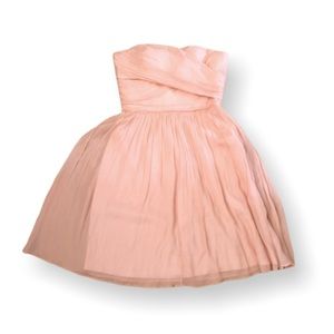J Crew Silk Chiffon Tube Dress Size 6 Medium